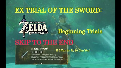 BOTW: EX Trial of the Sword - Beginning Trials (A BEGINNER SKIPS TO THE END)