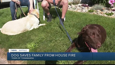 'If you had to think about it, he put us first to save us': Dog saves family from burning home