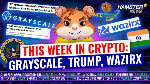 Grayscale ETF, South Korea Crypto Laws, Trump’s Plans ⚡️ Hamster News Weekly