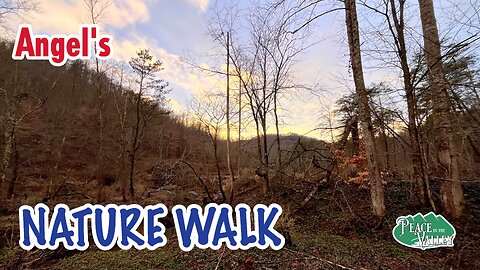 Nature Walk with Angel - E163