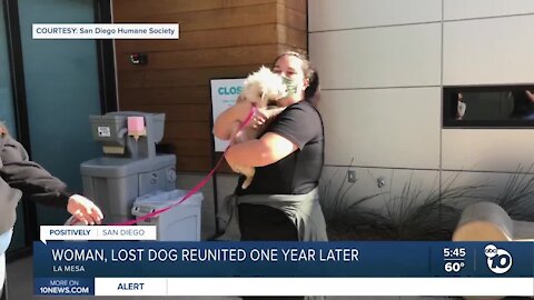 Woman, lost dog reunited one year later