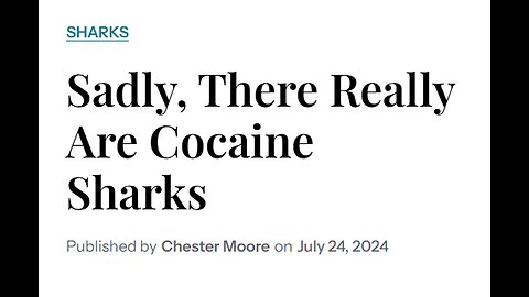 A FRIDAY FUNNY - COCAINE SHARKS ARE REAL - WITH HIGH LEVELS OF COCAINE IN LIVER & MUSCLES