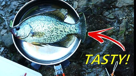 Summer Crappie Fishing (CATCH CLEAN COOK)