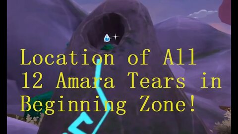 Zenith Fractured Plains All Amara Tear Locations! One You Definitely Didn't Know About!