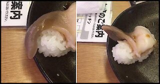 Čovjek je uzeo zadnji komad sušija i onda je ugledao kako se on pomjera