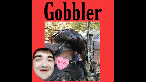 7-19-2024 The attempted take down of Johnny Gobbler by means of pressure on local officials part 1