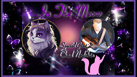 In The Meow | With Special Guest Chad Nedohin