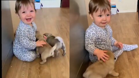 Baby has adorable reaction to new puppy . You can't ignore.