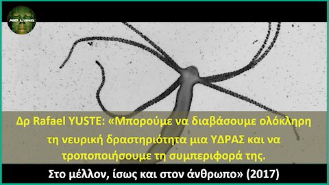 Δρ Rafael YUSTE - «Hydra Vulgaris - Μπορούμε να τροποποιήσουμε τη συμπεριφορά της» - Μετανθρωπισμός