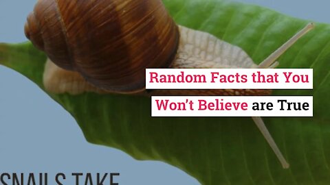Random Facts that You Won't Believe are True!