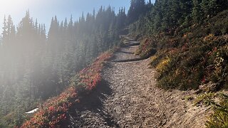 Hiking Burroughs Mountain Trail to Glacier Overlook & HANGING WITH MARMOTS! | Mount Rainier | 4K