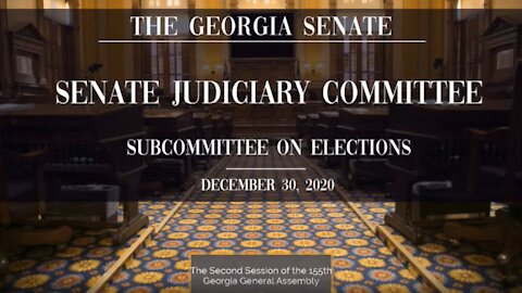 Jovan Hutton Pulitzer is Brilliant at the Georgia Hearing on Election Issues