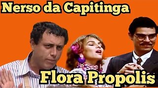 Escolinha do Professor Raimundo; Seu Nerso da Capitinga e Flora Propolis