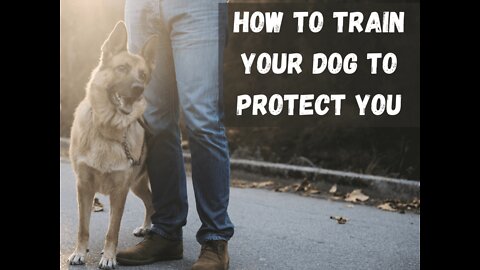 Train any dog to become a guard dog 🐕