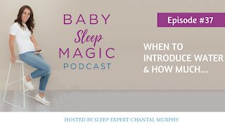 037: When To Introduce Water & How Much with Chantal Murphy - Baby Sleep Magic