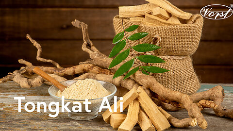 What is Tongkat Ali? - Benefits for Stress, Exercise explained