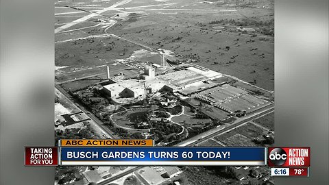 Busch Garden celebrates turning 60