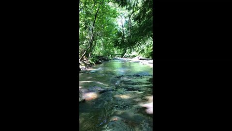 Tranquil Mountain Creek Water Flowing Downstream