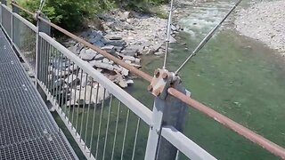 Hängebrücke über die Maggia nahe Aurigeno im Tessin Schweiz / Swiss pendant bridge over Alpine river