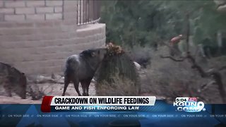 G&F: zero tolerance policy for feeding animals