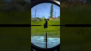 VITAL SHOTS 16 🦌🎯 - Way of the Hunter Animal Reactions #shorts