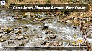 Great Smoky Mountain National Park Stream