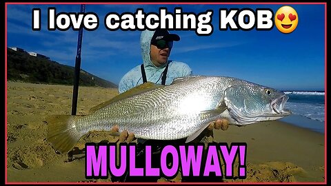 FINDING KOB/MULLOWAY! SEARCHING for EDIBLE FISH!!! EXPLORING new fishing grounds! Bait demo! ZLF