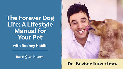 The Forever Dog Life: A Lifestyle Manual for Your Pet