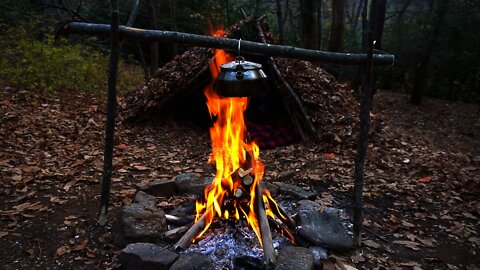 Bushcraft Debris Hut Shelter and Tea brewed in the woods. Survival shelter and Lion's Mane Tea