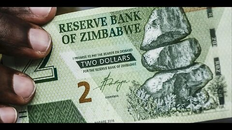 Zim dollar update for 09/12/23 from worst to first 40% gain