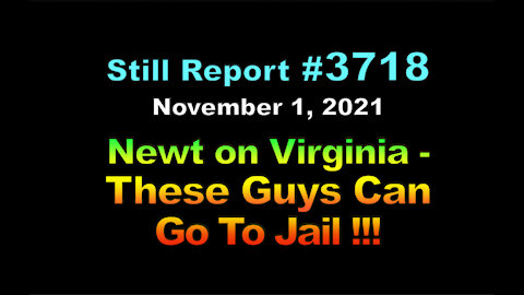 Newt on Virginia – These Guys Can Go To Jail, 3718