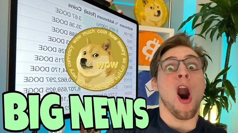 Top Dogecoin WHALES GOING CRAZY After Secret Info Revealed ⚠️