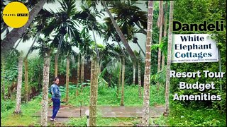 Dandeli Budget Resort Stay | White Elephant Cottage | Complete Resort Tour With Cost By Travel Yatra