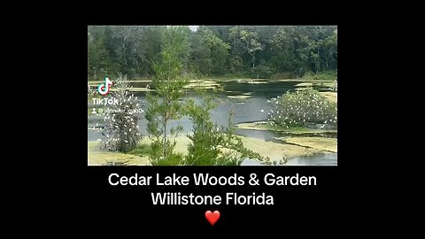 Cedar Lakes Woods & Gardens Willistone Florida