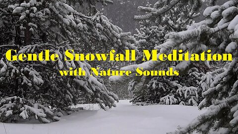 Gentle Snowfall in the Trees (with beautiful meditation sounds)
