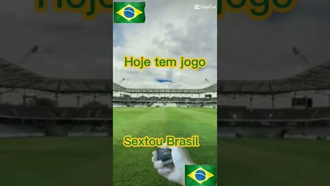 Brasil x Croácia Gato vendo televisão. Gato vendo jogo da Copa do mundo. Gato Bartolomeu Tunico 😺