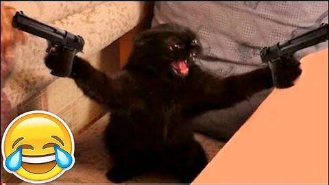 New Funny animal 🥰. funniest cats and dogs videos😁