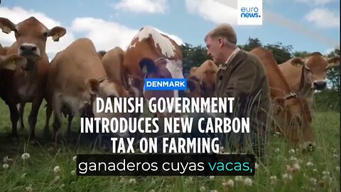 La Agricultura De Dinamarca En Peligro Por Las Regulaciones De Política Ecológica De La UE