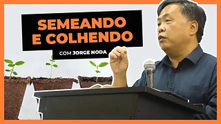 SEMEANDO E COLHENDO | Jorge Noda