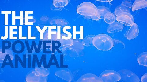 The Jellyfish Power Animal