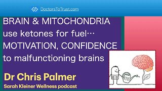 CHRIS PALMER 3 | BRAIN & MITOCHONDRIA use ketones for fuel…MOTIVATION, CONFIDENCE for broken brains