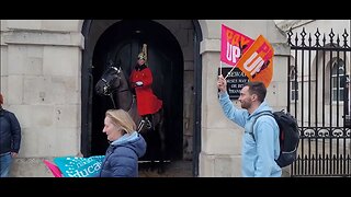 The kings guard horse does not like your flags #horseguardsparade