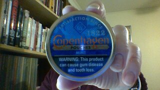 The Copenhagen Mint Pouches Review