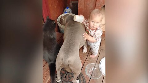 The child eats with the dog