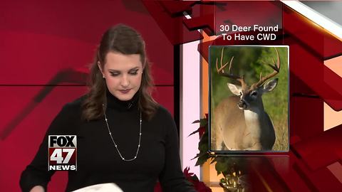 More cases of chronic wasting disease found during deer hunt
