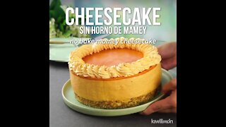 No-Bake Mamey Cheesecake