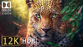 12K HDR 60fps Dolby Vision with Calming Music (Colorful Dynamic)