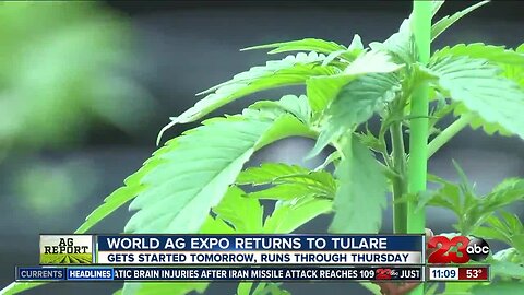 World Ag Expo to feature exhibits for the industrial hemp industry