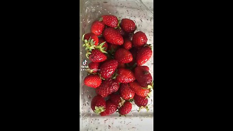Strawberries 🍓