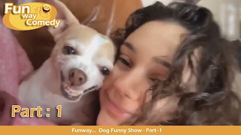 How To Play With Dog / Most Dog Funny Videos - Part:1 - Funway Video